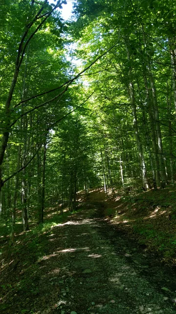 "Glodeasa" Nature Preserve