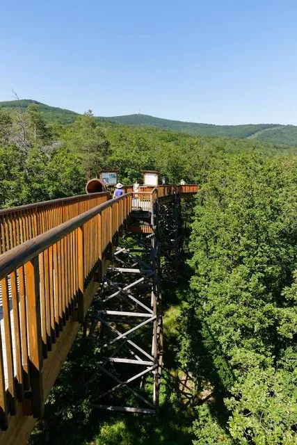 Baumwipfelweg Althodis