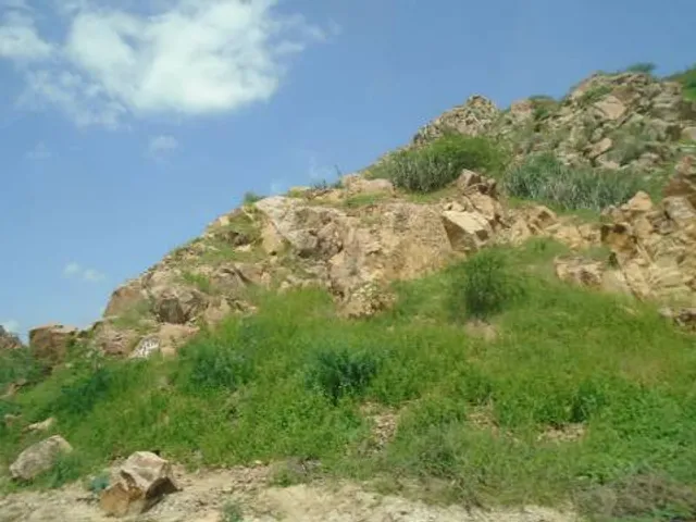 Kondapalli Reserve Forest