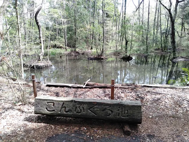 Konbukuroikeshizenhakubutsu Park