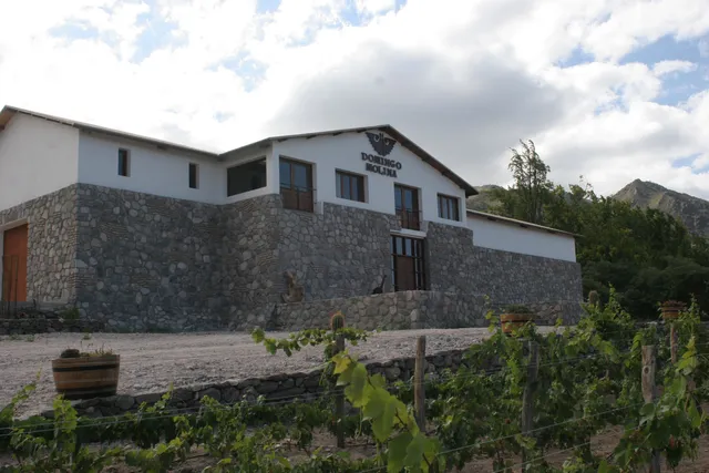 Bodega Domingo Molina