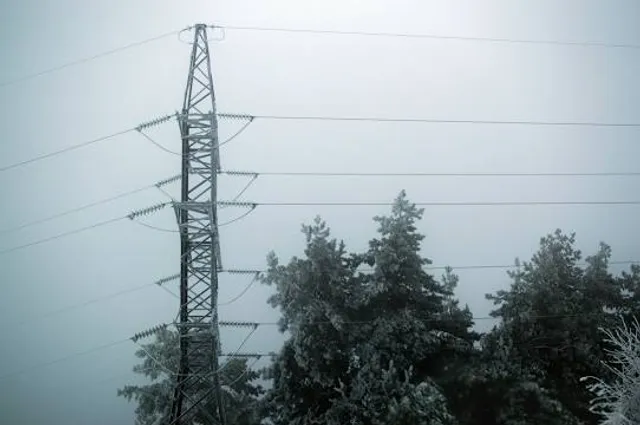 Laubenheimer-Bodenheimer Ried