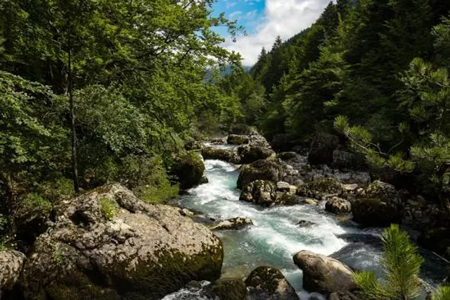 Résurgence des Gillardes