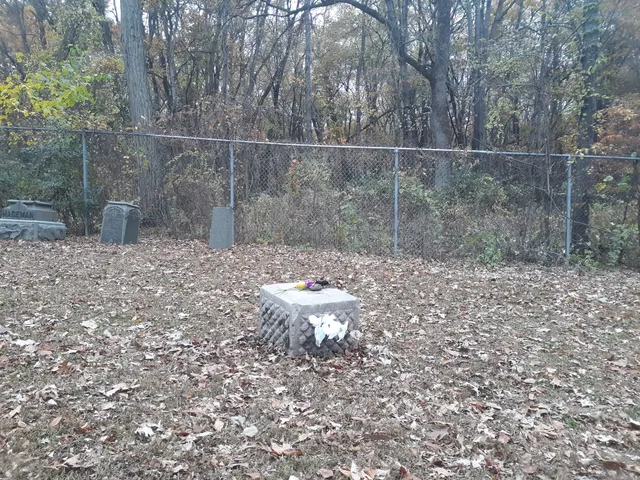 Bachelor's Grove Cemetery