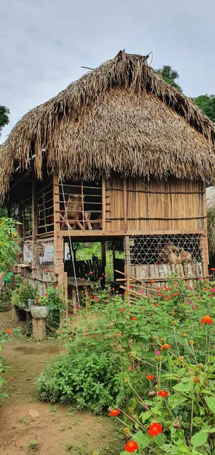 El Llanerazo Rancho Museo