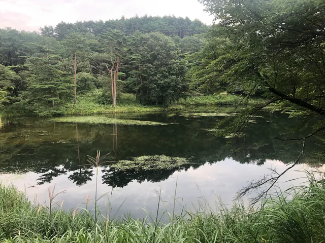 Natsunashinuma Natural Park