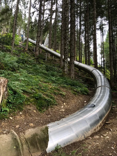 Waldrutschenpark