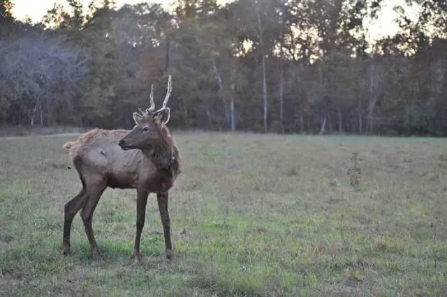 Peck Ranch Conservation Area