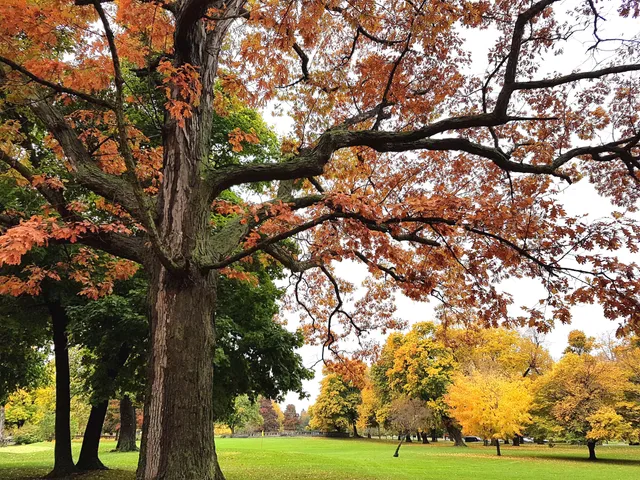 Buffalo Olmsted Parks Conservancy