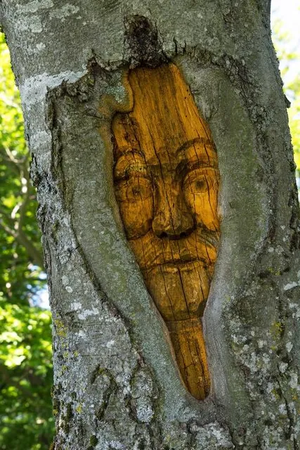 Irrenberg-Hundsrücken