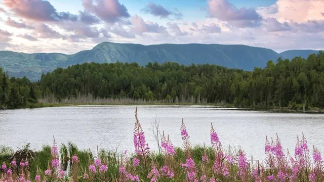 Sainte-Marie-de-Blandford