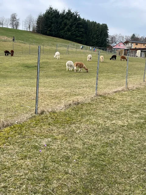 Imbiss am Alpakahof (nur zur Krokusblüte geöffnet)