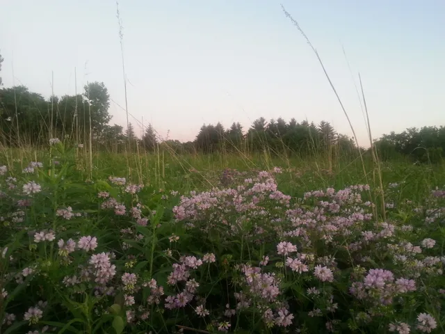 Metro Parks Serving Summit