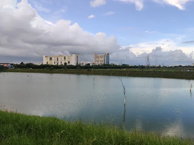 Pallikaranai Marshland Park