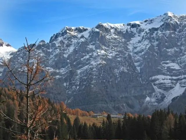 photo-1