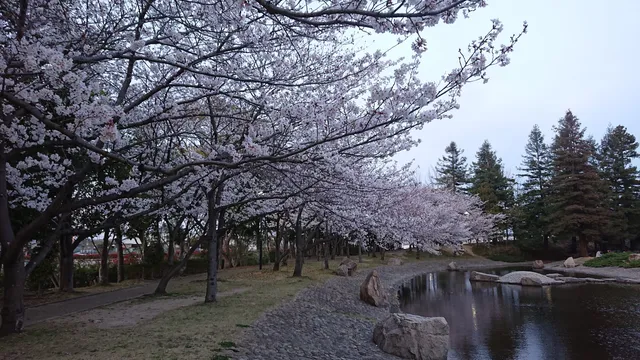 Nozoekita Park