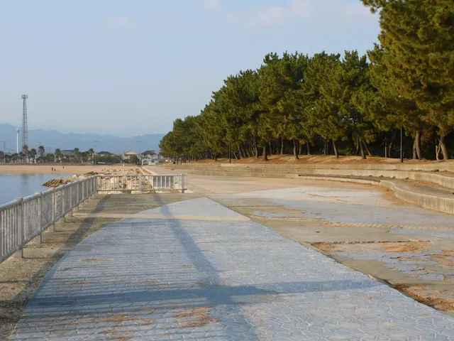 photo-1