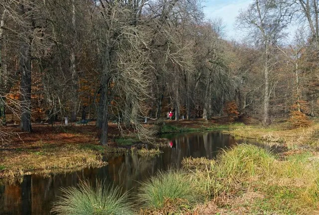 Kęstučio Kaltenio dendrologinis parkas