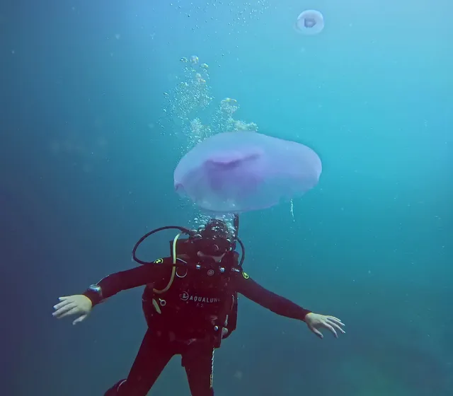 PADI Diving Club Planet A