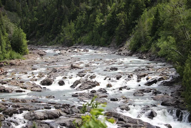 Grand Sault, Passe Migratoire à Saumons