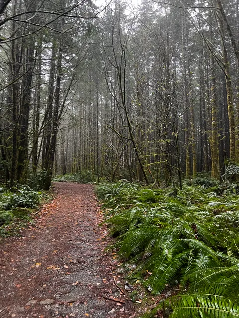 McCormick Forest Park