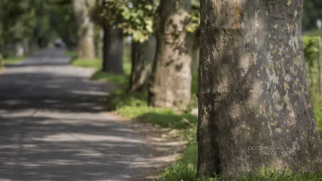 Elizabeth Island in Komárno