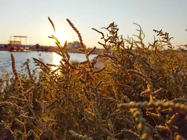 Australian PlantBank