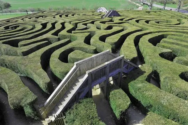 Longleat Hedge Maze