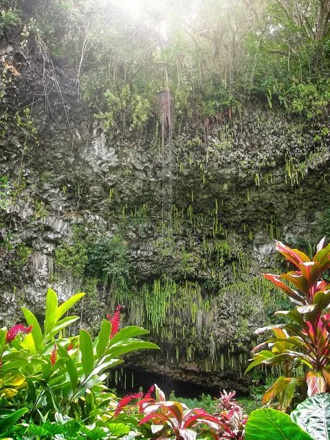 Smith Family Garden Luau