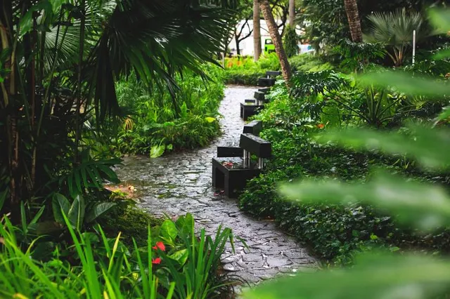 6BC Botanical Garden