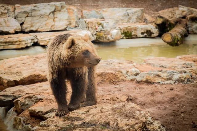 Animal Park of Gramat