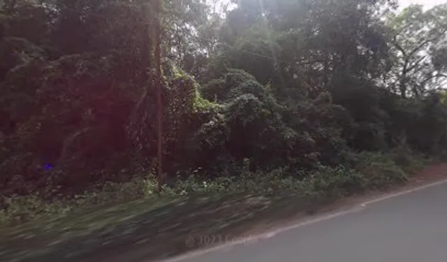 Panjabi Village Restaurant