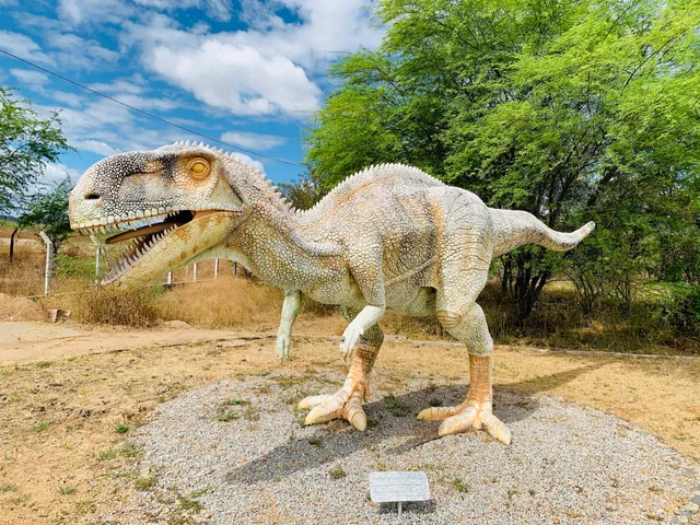 Região Geográfica Imediata de Sousa