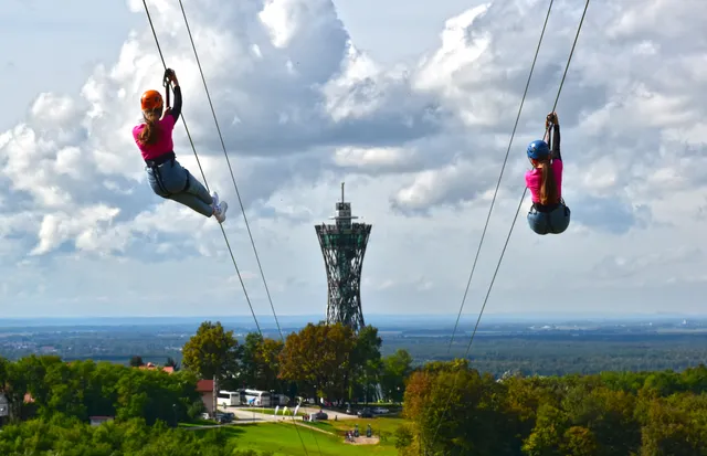 Vinarium zipline