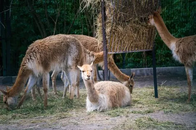 Rio Tinto Naturescape Kings Park