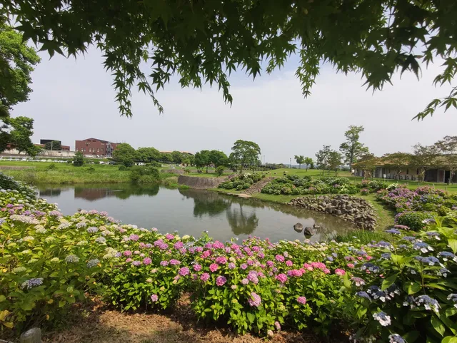 Toincho Chubu Park
