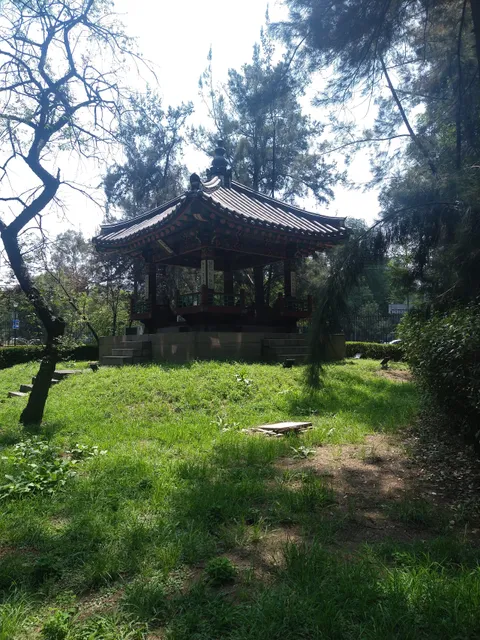 Adultos Mayores "Euquerio Guerrero" Garden