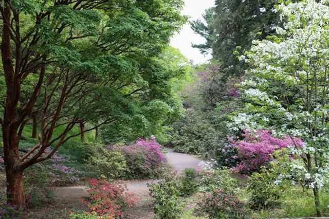 photo-1