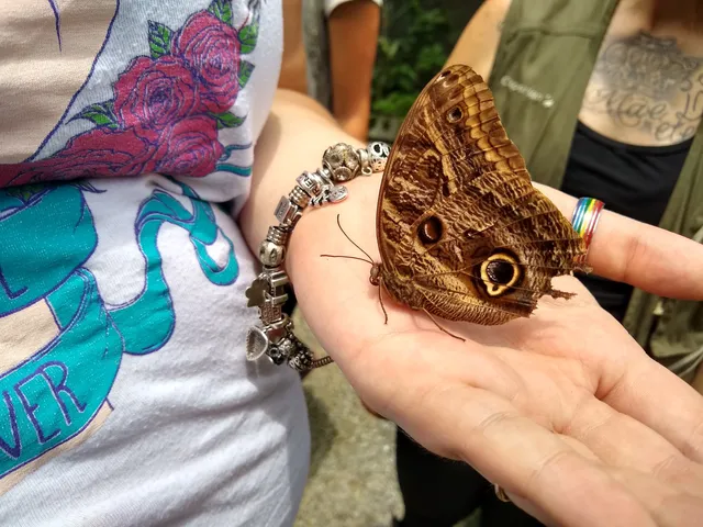 Borboletário de Diadema