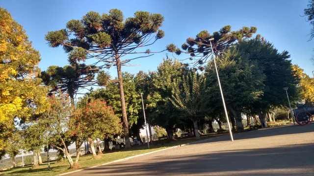 Fuerte Histórico de Nacimiento