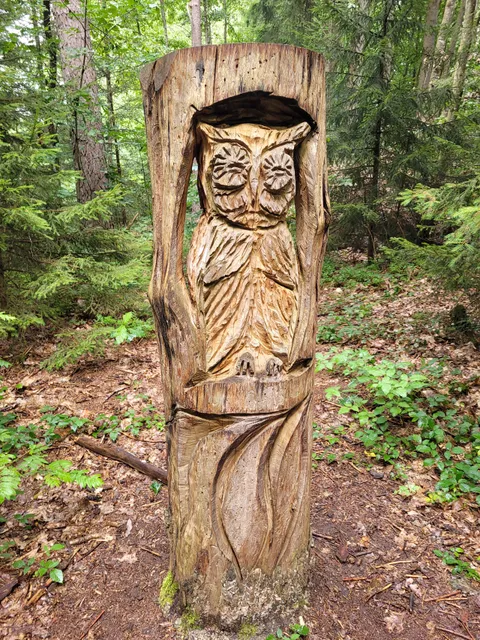 Zauberwald Fichtenau