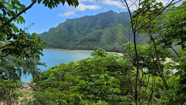 Kapa'ele'ele Ko'a Hiking Trail