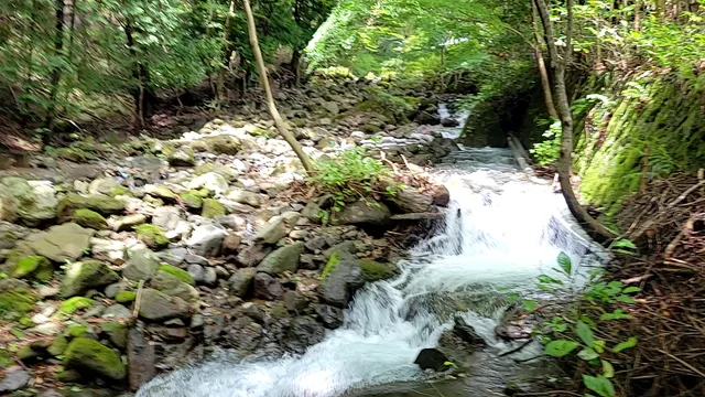 Minoge Masu Fishing Center