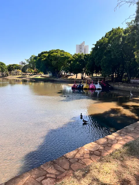 Pedalinhos do Lago das Rosas