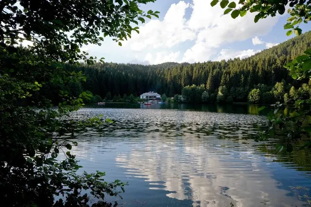 Seehof-Windgfällweiher
