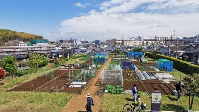 Morookacho Ume-no-Oka Park