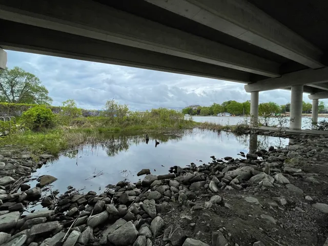 Mnjikaning Fish Weirs National Historic Site