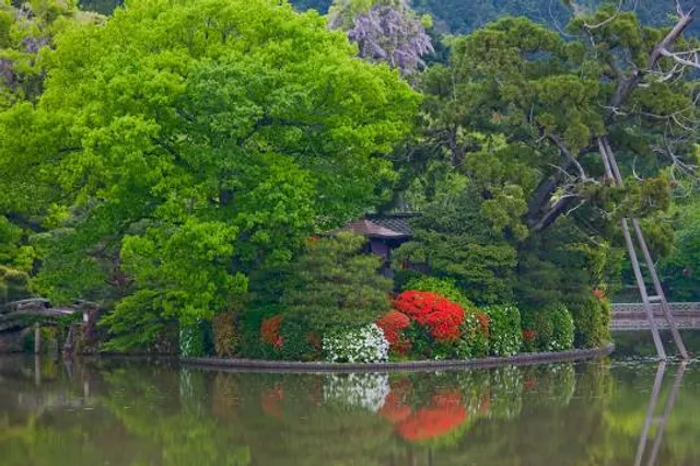 Ryoanji Kyoyochi Pond