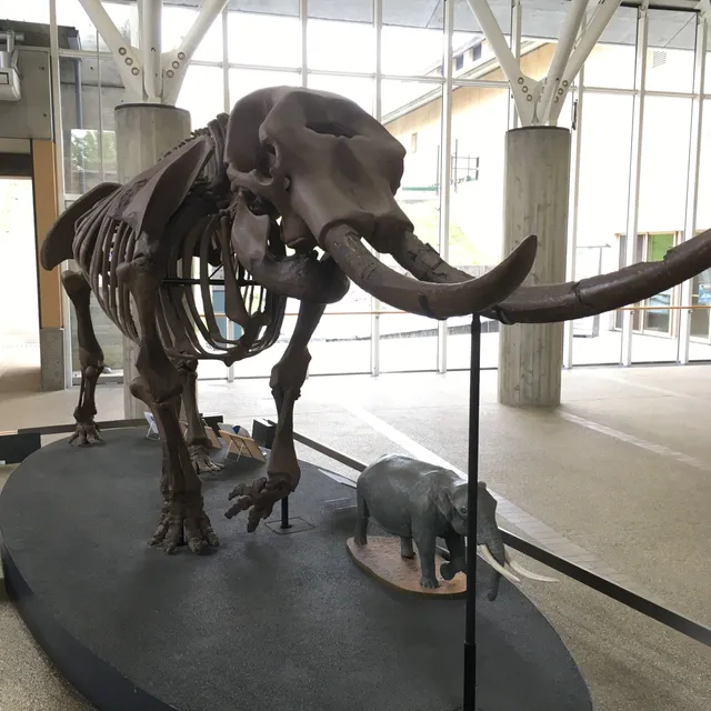 Taga Municipal Museum