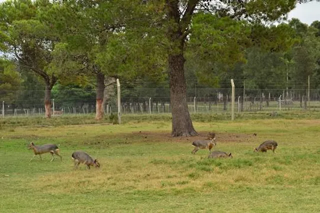 Reserva de Flora y Fauna Dr. Rodolfo Tálice